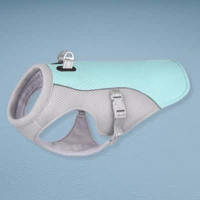 Gilet rafraichissant SummerDog