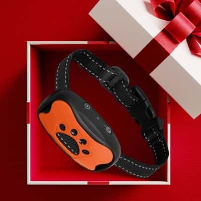 Collier anti-aboiement pour chien Collar