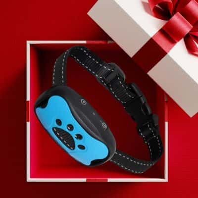 Collier anti-aboiement pour chien Collar