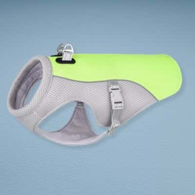 Gilet rafraichissant SummerDog