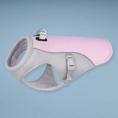 Gilet rafraichissant SummerDog