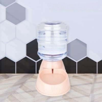 Distributeur de croquettes pour chien et distributeur eau | Spring