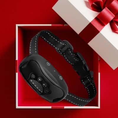Collier anti-aboiement pour chien Collar