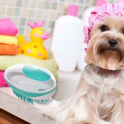 Brosse de bain pour chien WashDog
