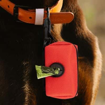 Distributeur de sacs à crottes  Dispenser