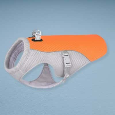 Gilet rafraichissant SummerDog