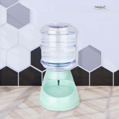 Distributeur de croquettes pour chien et distributeur eau | Spring