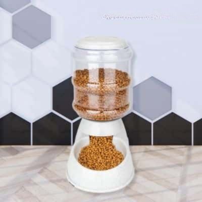 Distributeur de croquettes pour chien et distributeur eau | Spring