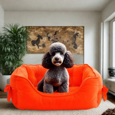 Panier pour chien | Princess. PETITES RACES, COLORIS DIFFÉRENTS