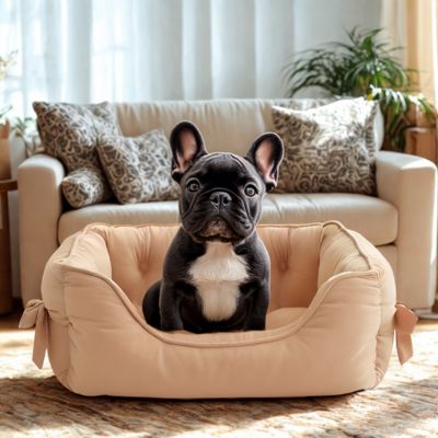 Panier pour chien | Princess. PETITES RACES, COLORIS DIFFÉRENTS