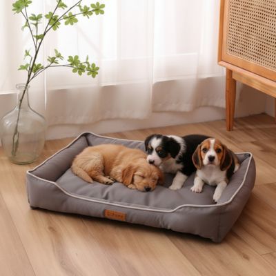 Panier pour chien | Doly. PETITES/GRANDES RACES, COLORIS DIFFÉRENTS