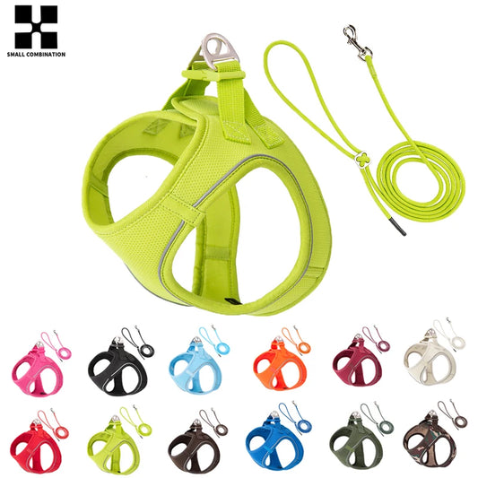 Harnais chien avec laisse, pour petit et moyenne taille | Sweety