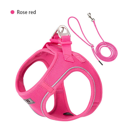 Harnais chien avec laisse, pour petit et moyenne taille | Sweety