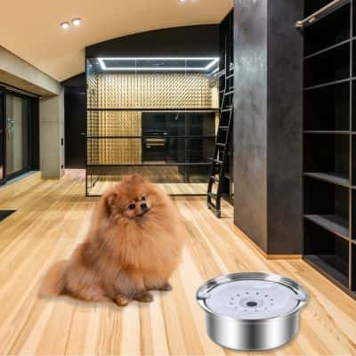 abreuvoir chien Drinker 