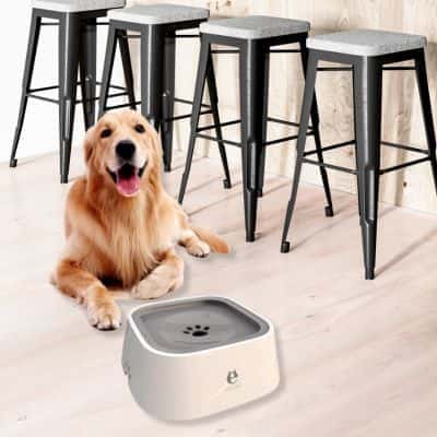 abreuvoir-pour-chien-anti-éclaboussure