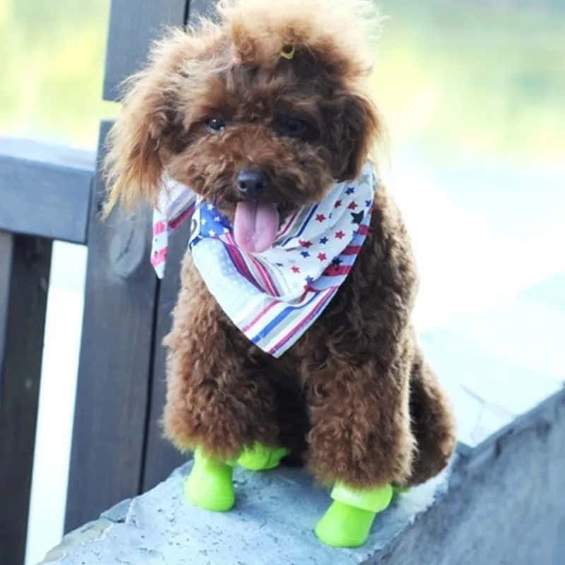 accessoire pour chien bottines BootDog résistantes