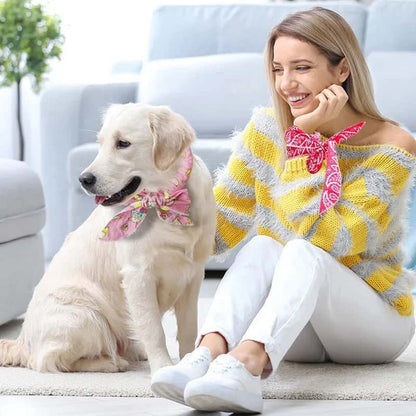 accessoire pour chien rafraichissant confortable