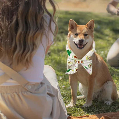 accessoire pour chien rafraichissant esthetique