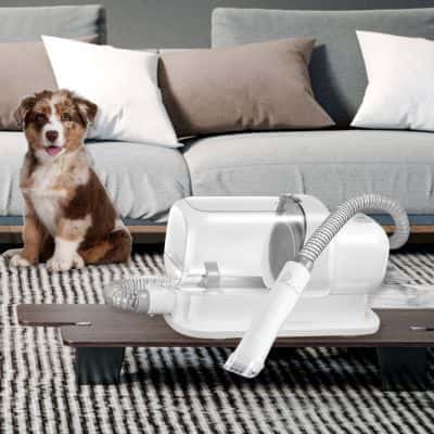 aspirateur-poil-de-chien-pratique