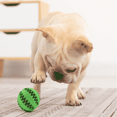 balle-pour-chien-amusante