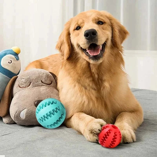 balle-pour-chien-rebondissante