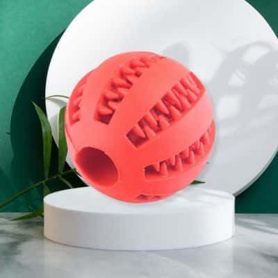 balle pour chiens rouge Cleaning