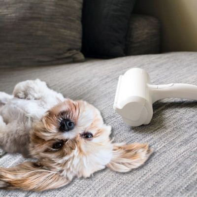 brosse anti poils pour animaux de compagnie