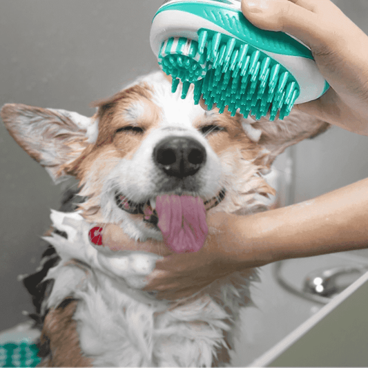 brosse-de-bain-pour-chien-WashDog
