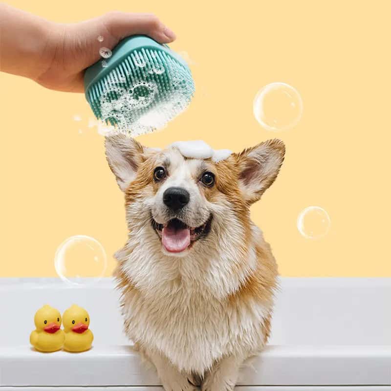 brosse-de-bain-pour-chien-massante