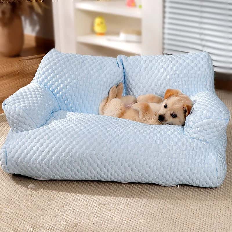 canapé-pour-chien-Chesterfield-confortable