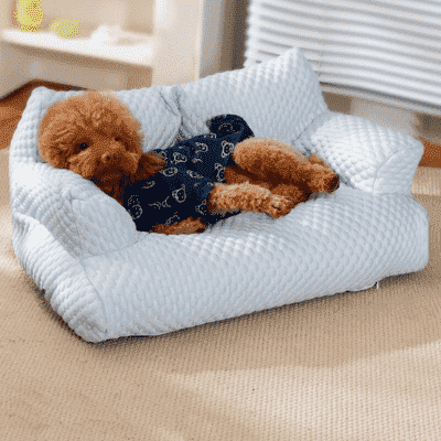 canapé-pour-chien-Chesterfield