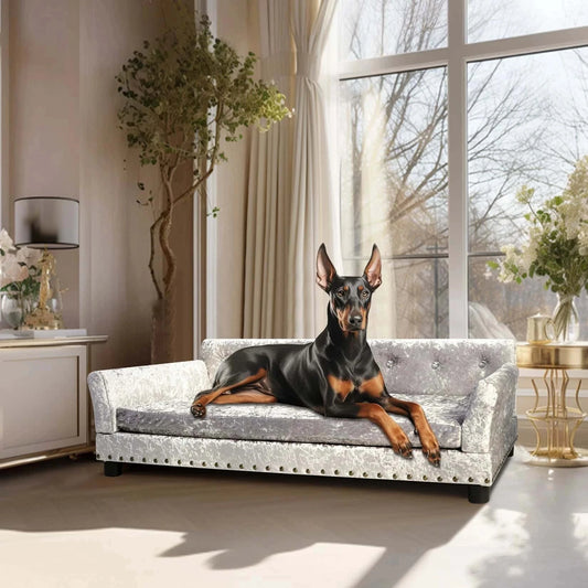 canapé-pour-chien-luxueux-Davenport