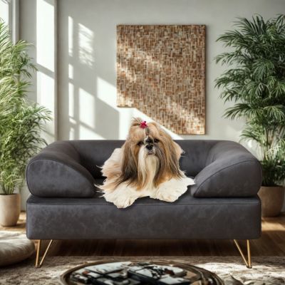 canapé chien Glow de luxe
