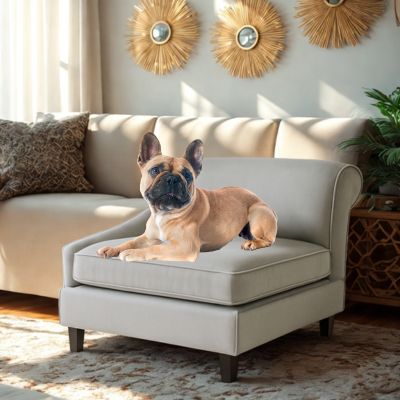 canapé chien Safe gris