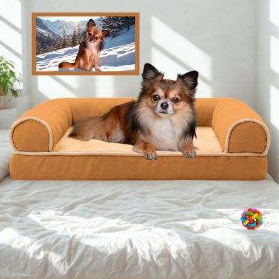 canapé chien Sofbed durable