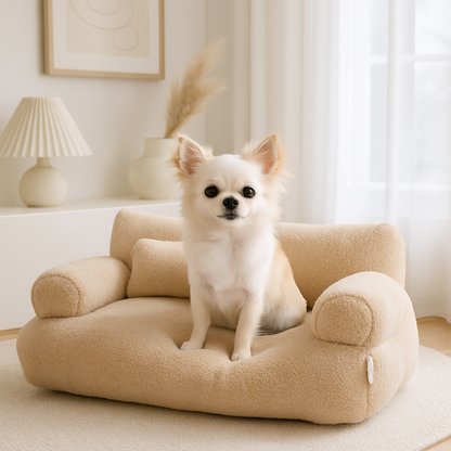 canapé chien couchpet qualitatif