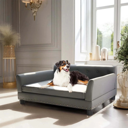 canapé chien divan confortable