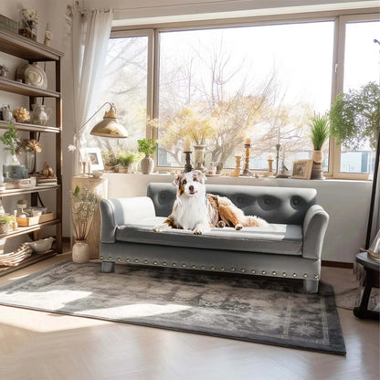canapé chien esthétique divan