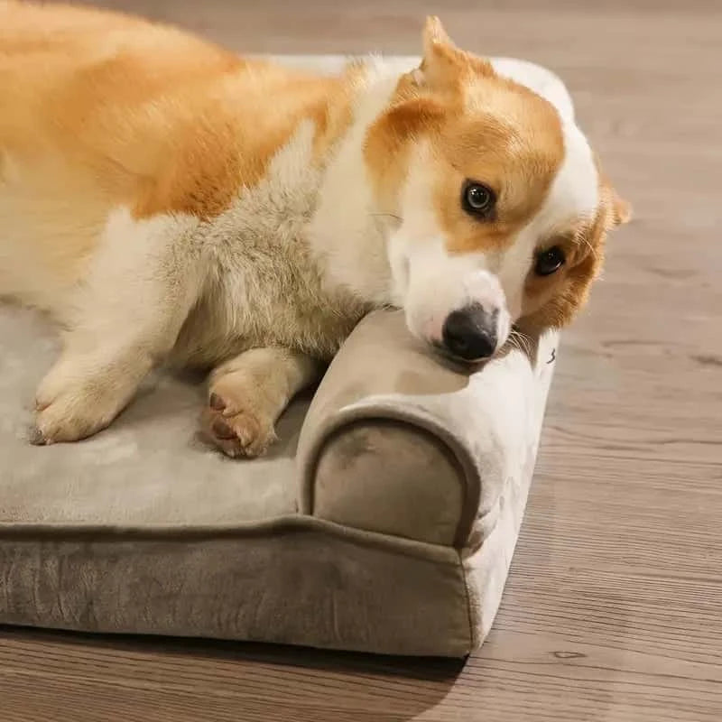 canapé chien extra doux SofBed