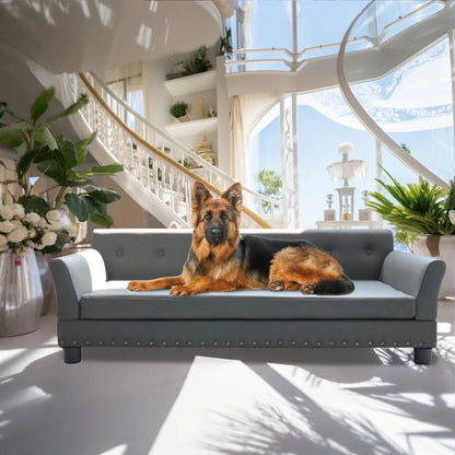 canapé chien grand gabarit Divan