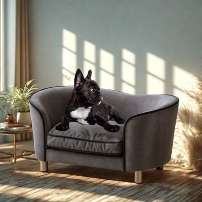 canapé chien luxury confortable