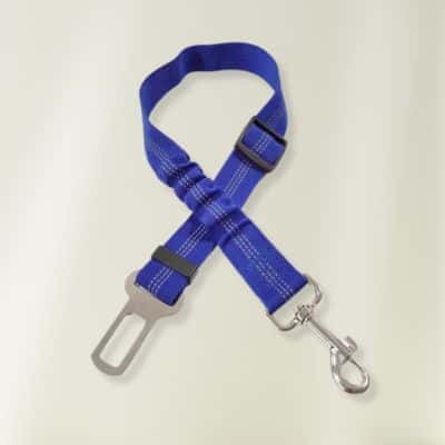 ceinture de sécurité pour chien Jasy bleu