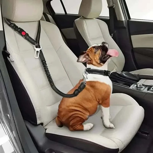 ceinture-de-sécurité-pour-chien-safety
