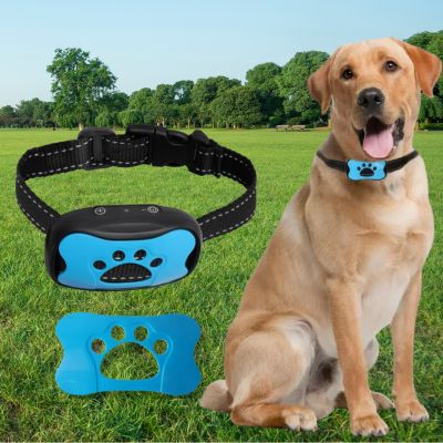 collier anti aboiement pour chien costaud