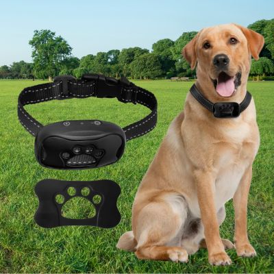 collier anti aboiement pour chien reglementaire