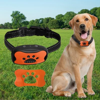 collier anti aboiement pour chien waterproof