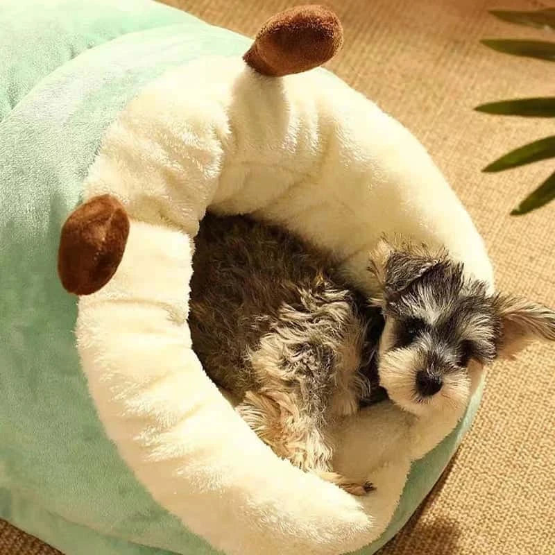 couchage chien SlippersDog confortable