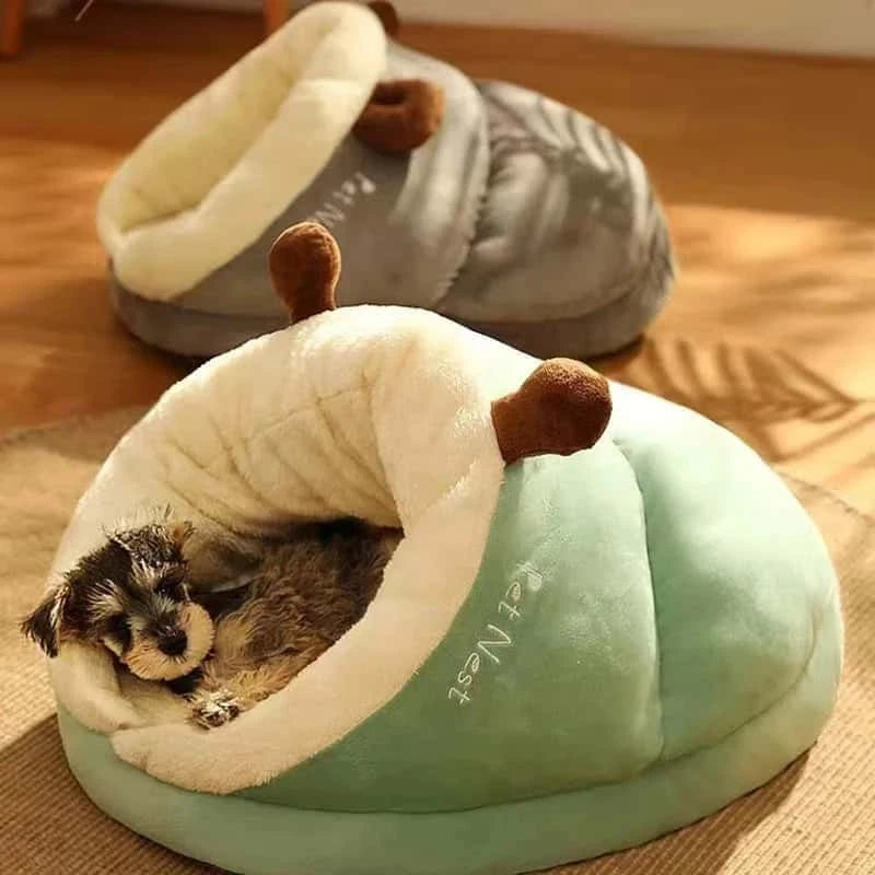 couchage chien SlippersDog moelleux