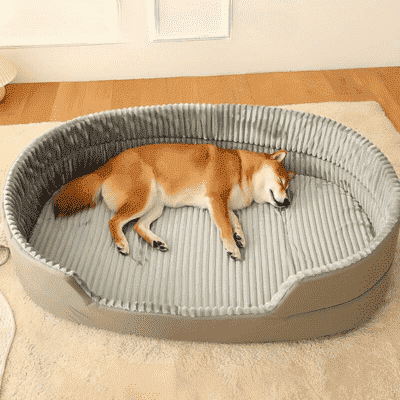 couchage chien gris Kennel