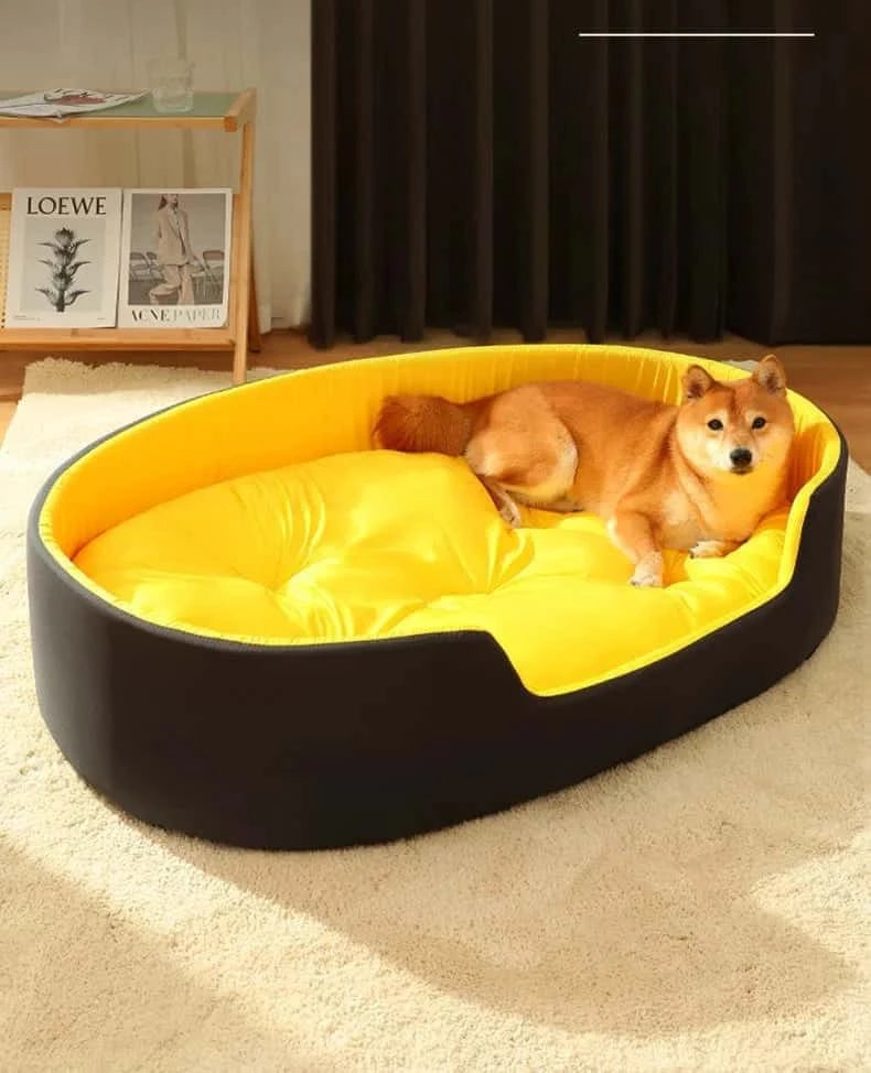 couchage chien noir jaune Kennel